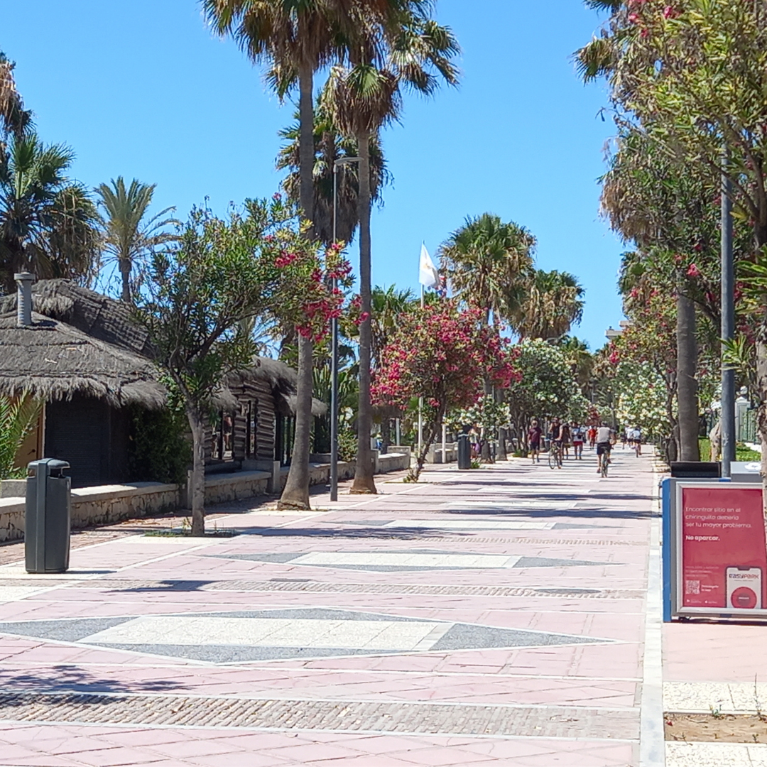 Paseo Marítimo Alberto Vidiella Tudores Paseo marítimo Marbella